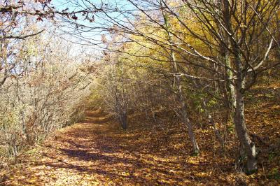 Прикрепленное изображение: img_0001_02.jpg